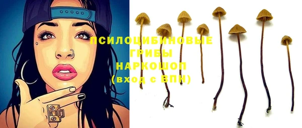PSILOCYBIN Богородицк