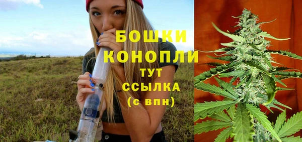 PSILOCYBIN Богородицк