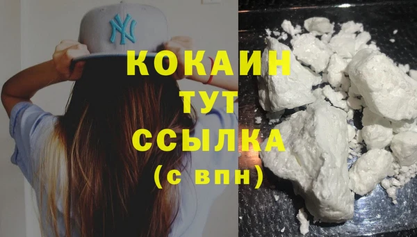PSILOCYBIN Богородицк